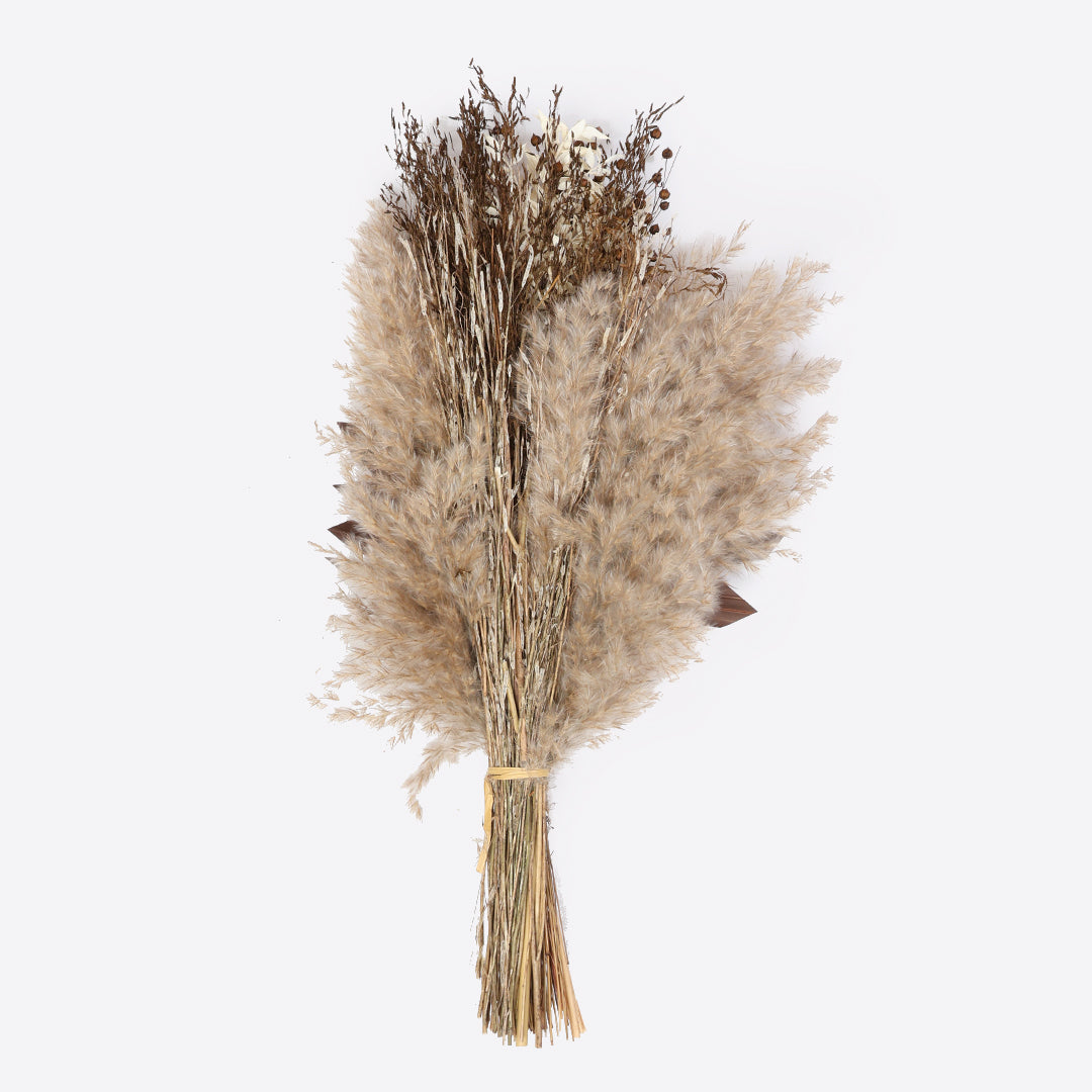 True Brown Dried Flower Bunch