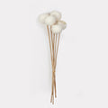Bell Cup Dried Stems - Set of 5