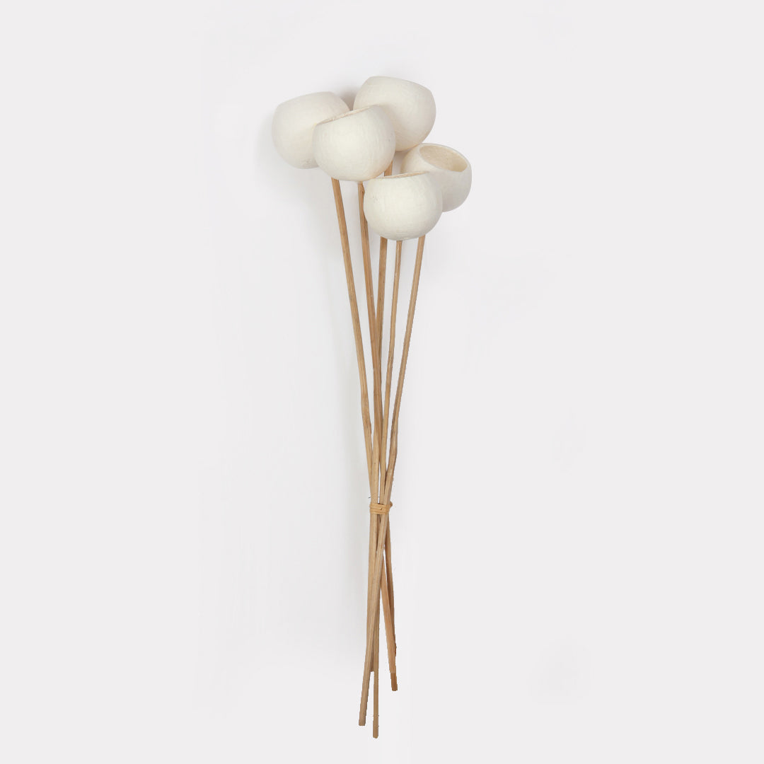 Bell Cup Dried Stems - Set of 5