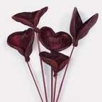 Badam Stems - Set of 5