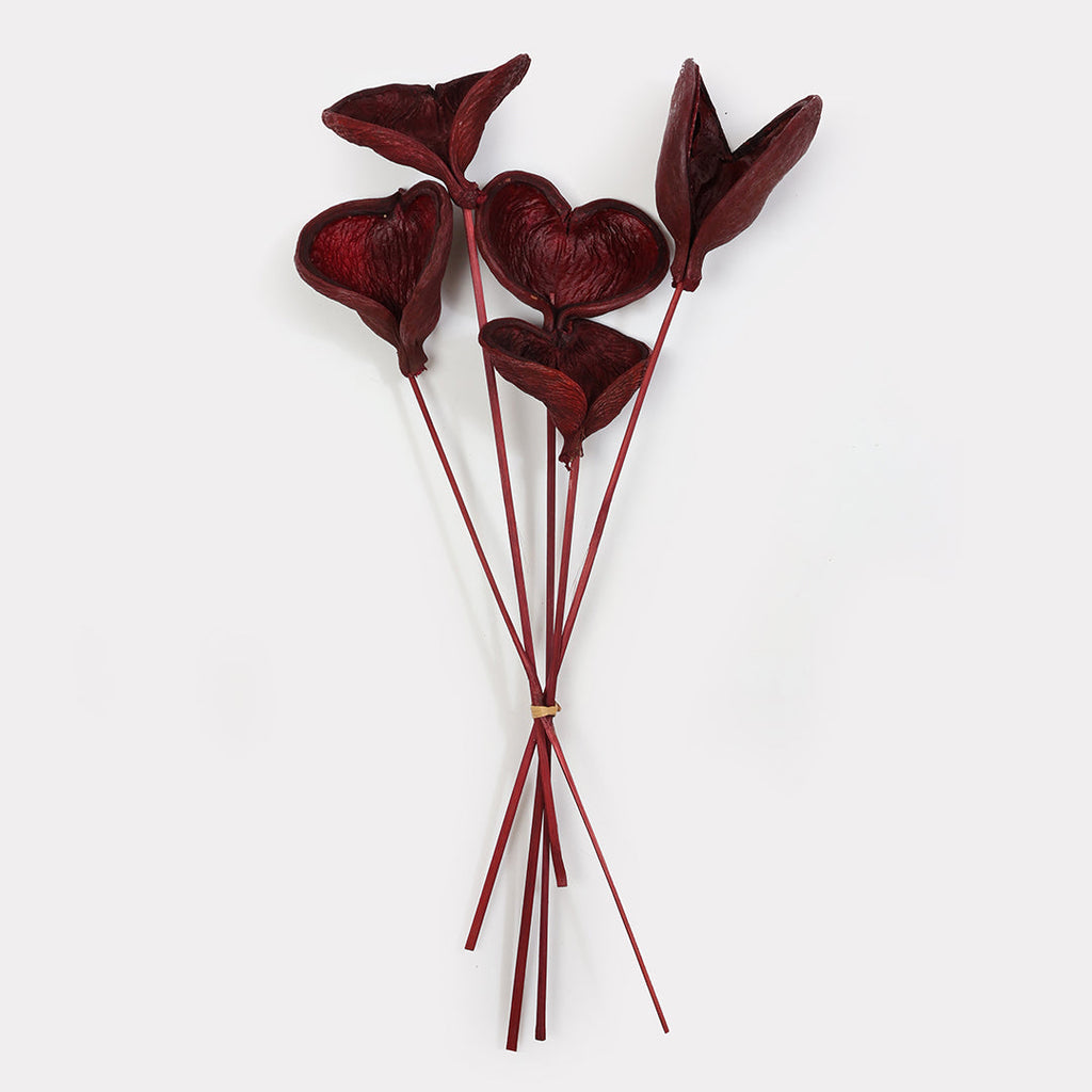 Badam Stems - Set of 5