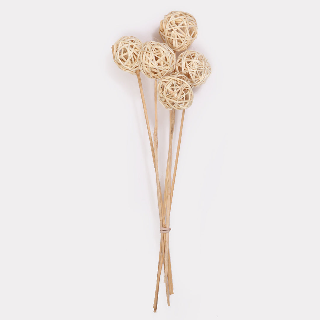 Brunch Ball Stems - Set of 5