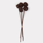 Brunch Ball Stems - Set of 5
