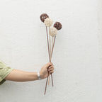 Brunch Ball Stems - Set of 5