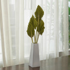 Palm Spear Dried Stems Set of 3