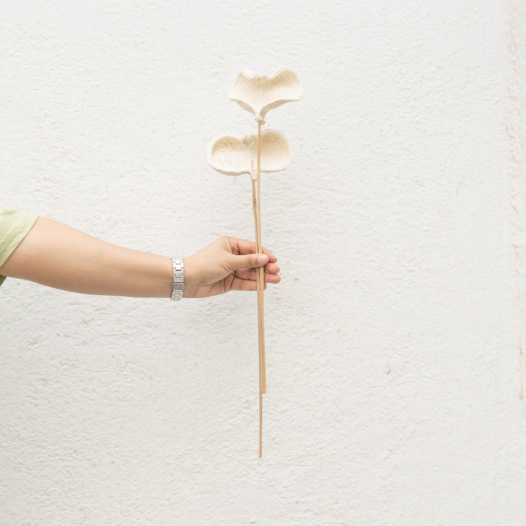 Badam Stems - Set of 5