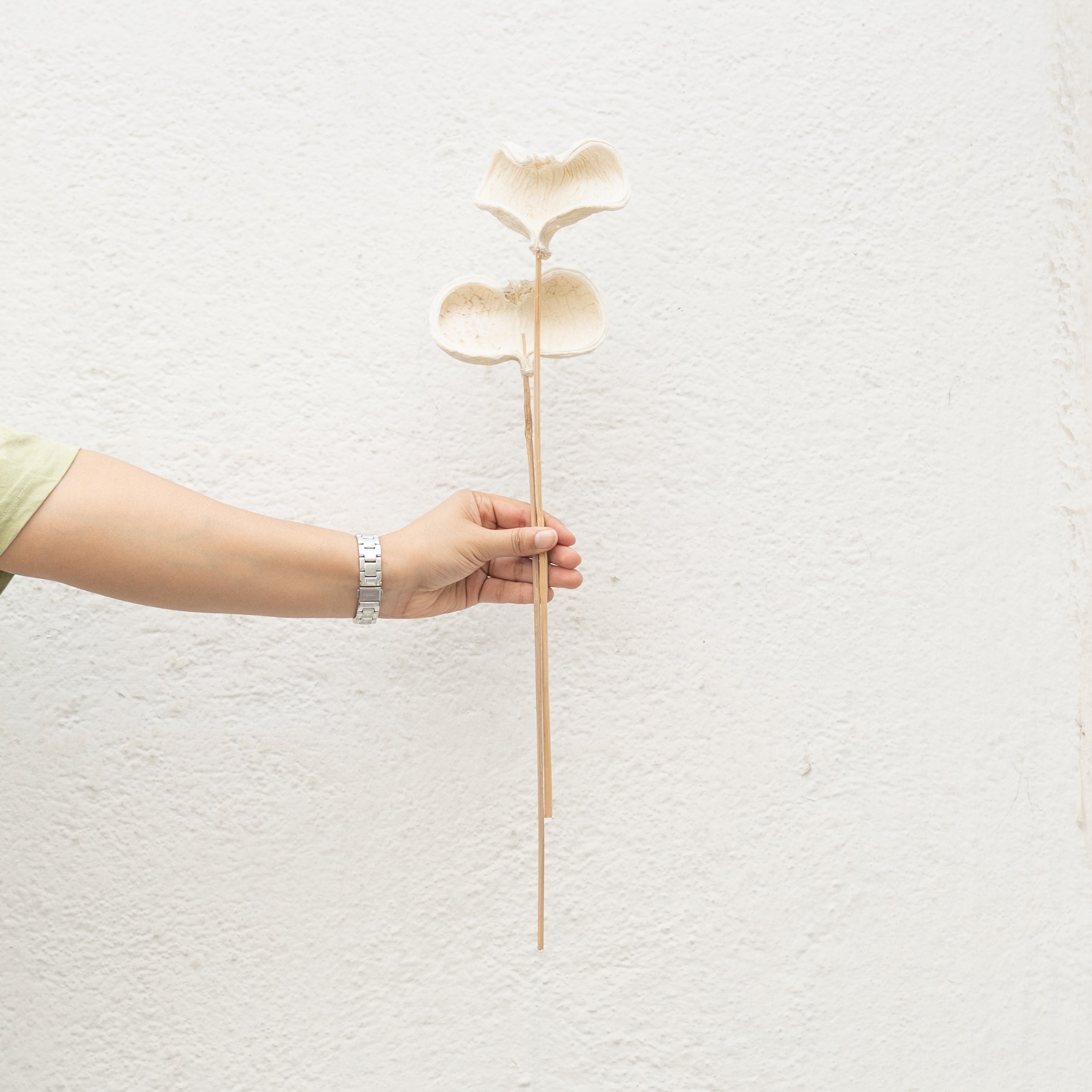 Badam Stems - Set of 5