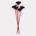 Lotus Pod Dried Stems Red Set of 5