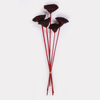 Lotus Pod Dried Stems Red Set of 5