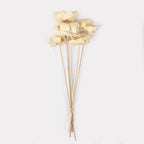 Dried Palm Cup Stems - Set of 5