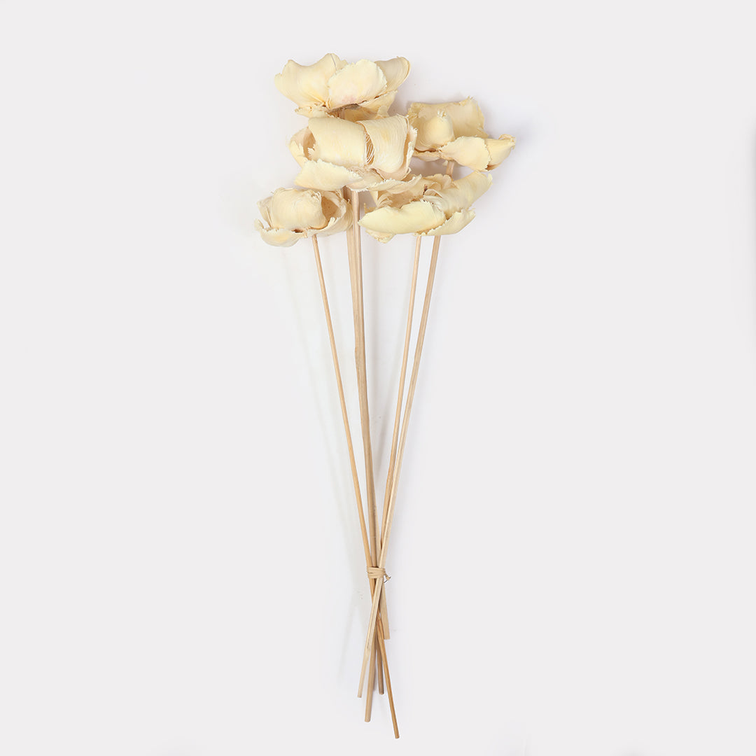 Dried Palm Cup Stems - Set of 5
