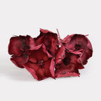 Dried Palm Cup Stems - Set of 5