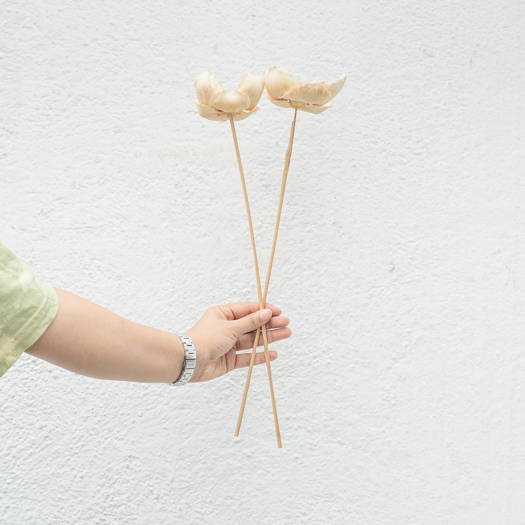 Dried Palm Cup Stems - Set of 5