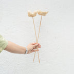 Dried Palm Cup Stems - Set of 5