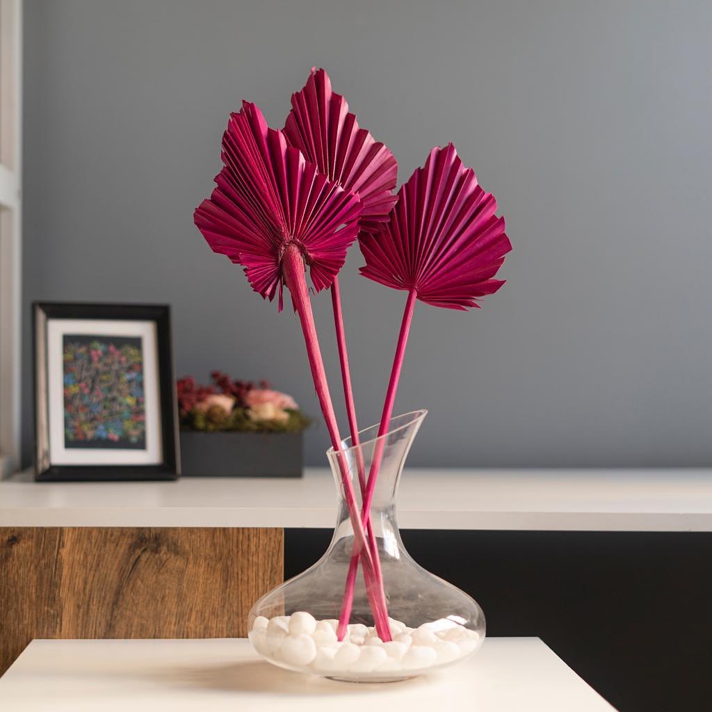 Palm Spear Dried Stems Set of 3