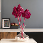 Palm Spear Dried Stems Set of 3