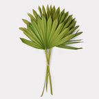 Sun Spear Dried Stems Set of 3