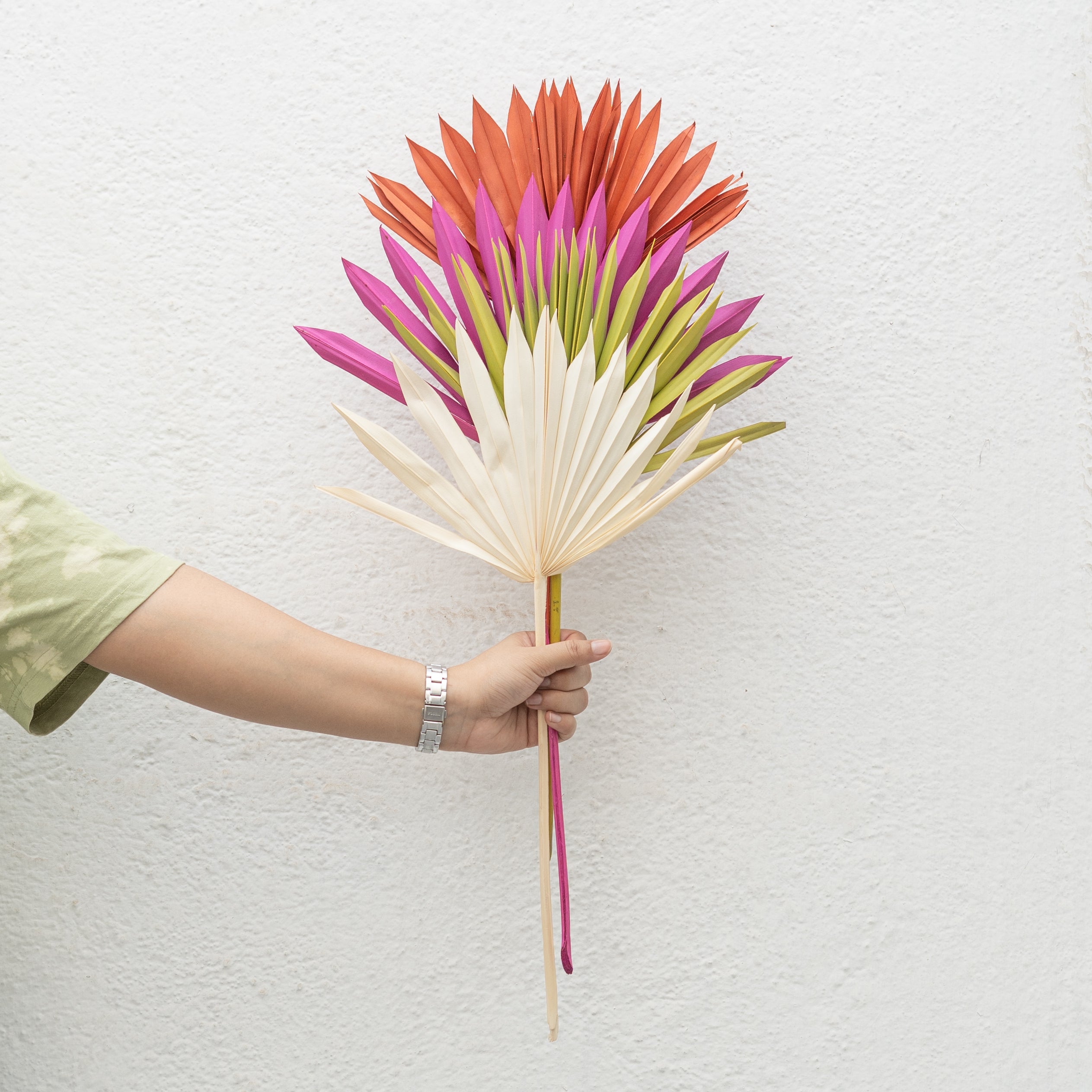 Sun Spear Dried Stems Set of 3